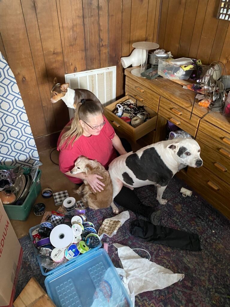 Under the Oak Tree: A Personal Note From Behind Tonitunes